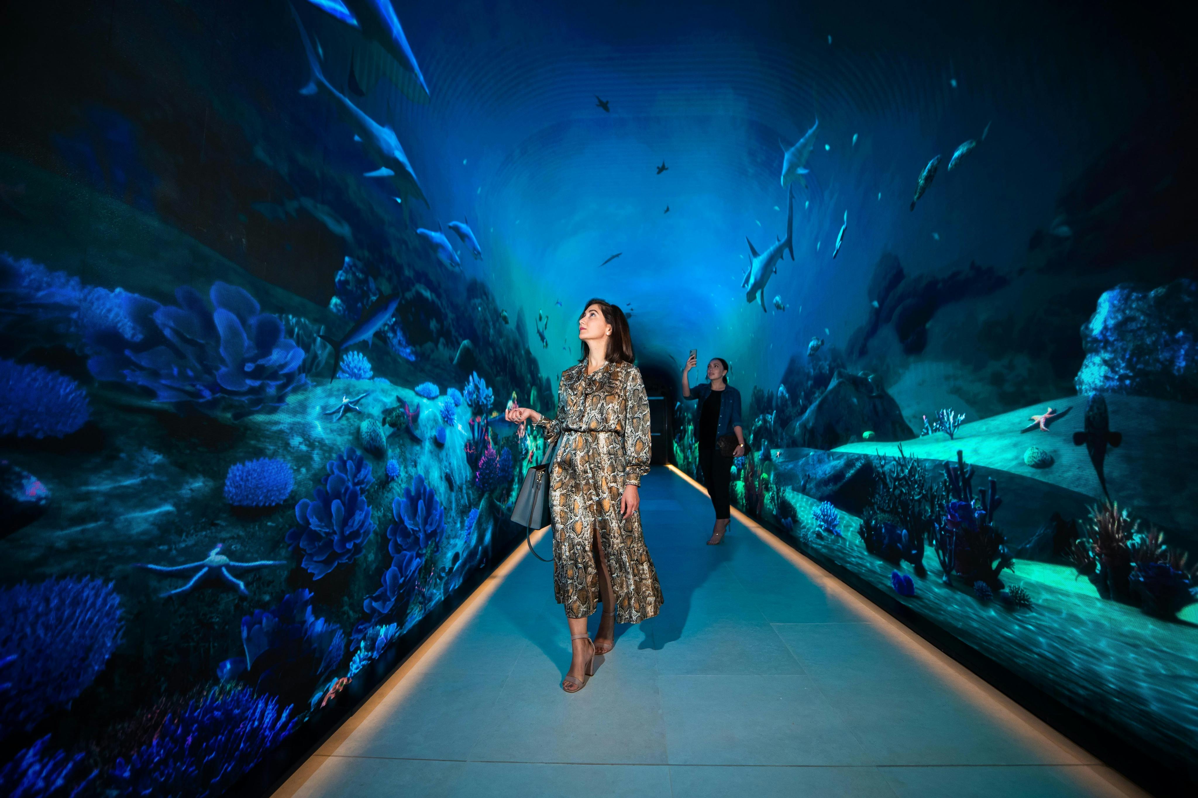 The View at The Palm Tunnel