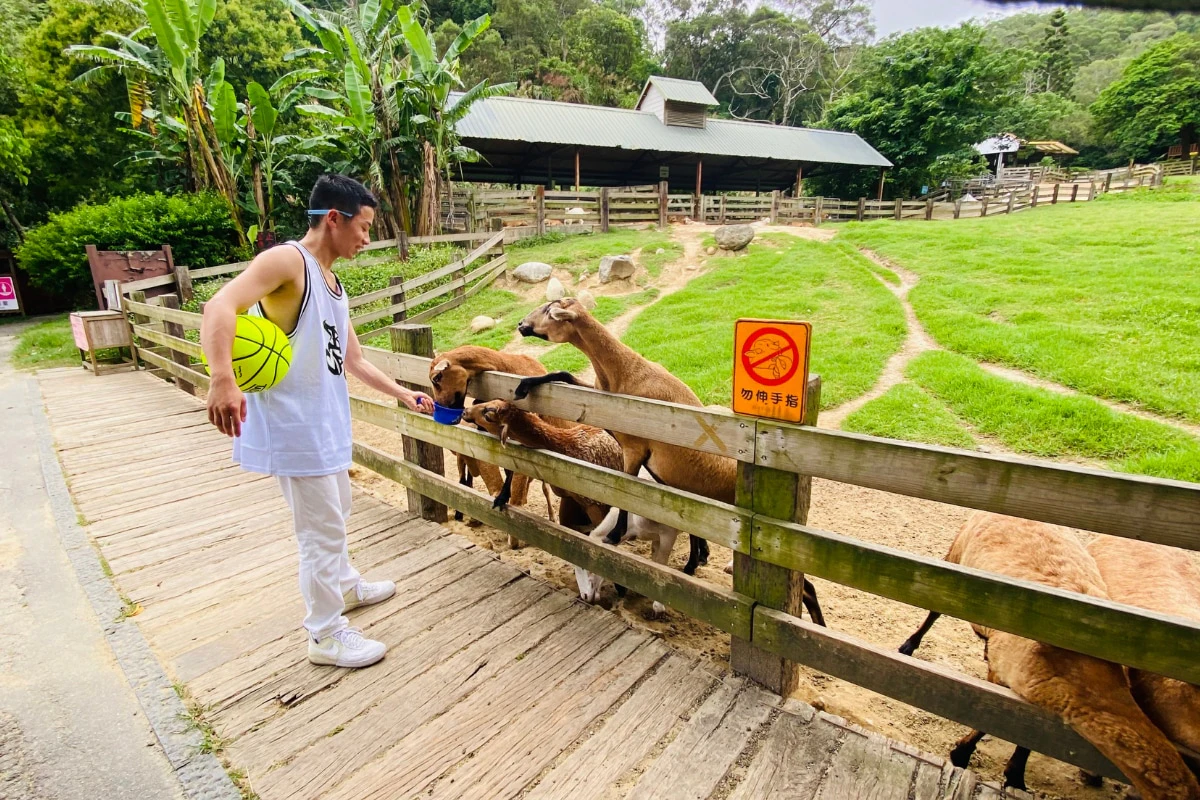 Miaoli: Flying Cow Ranch Ticket + Painted Fatty Beef DIY Experience & Welcome Dairy Products