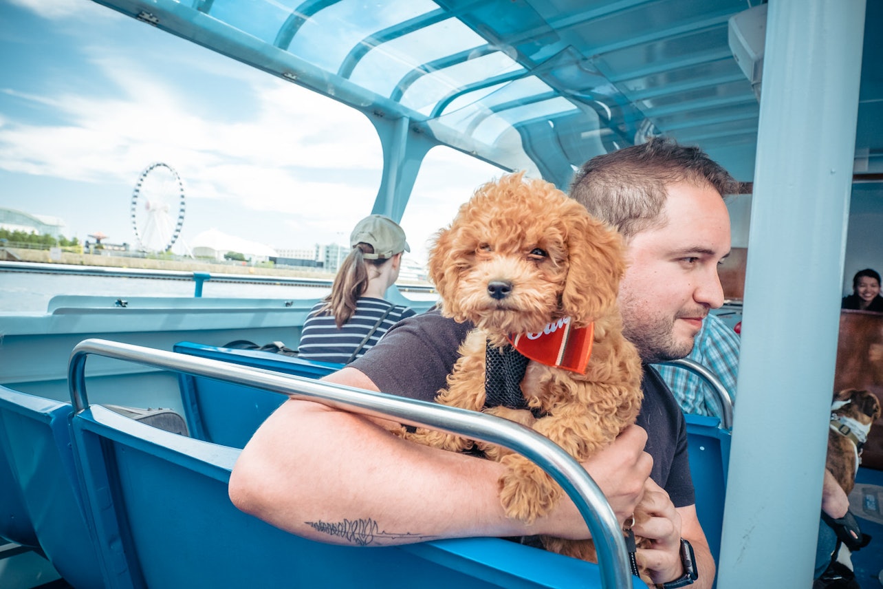 Chicago: Canine Cruise - Accommodations in Chicago