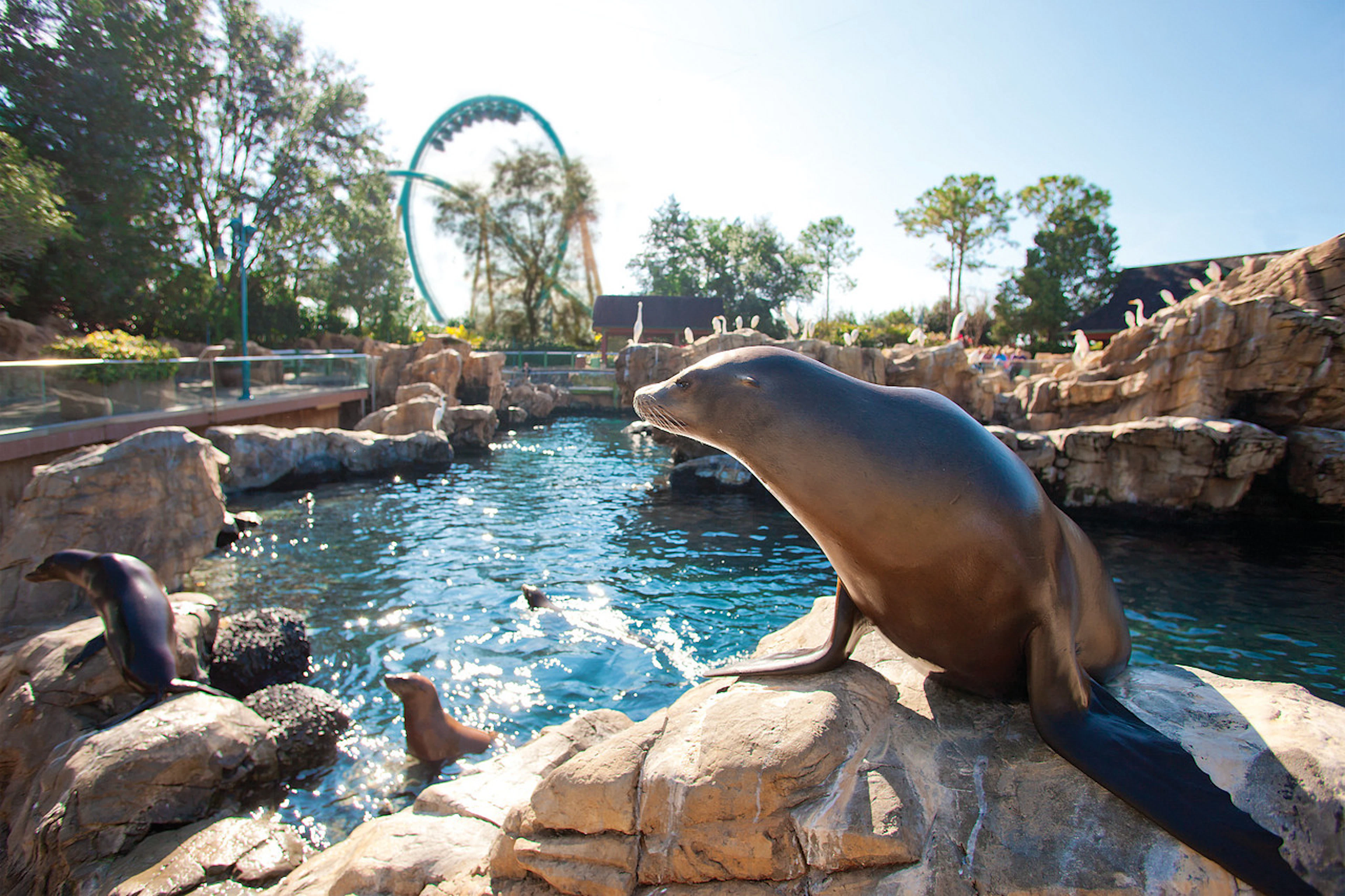 Orlando SeaWorld Tickets