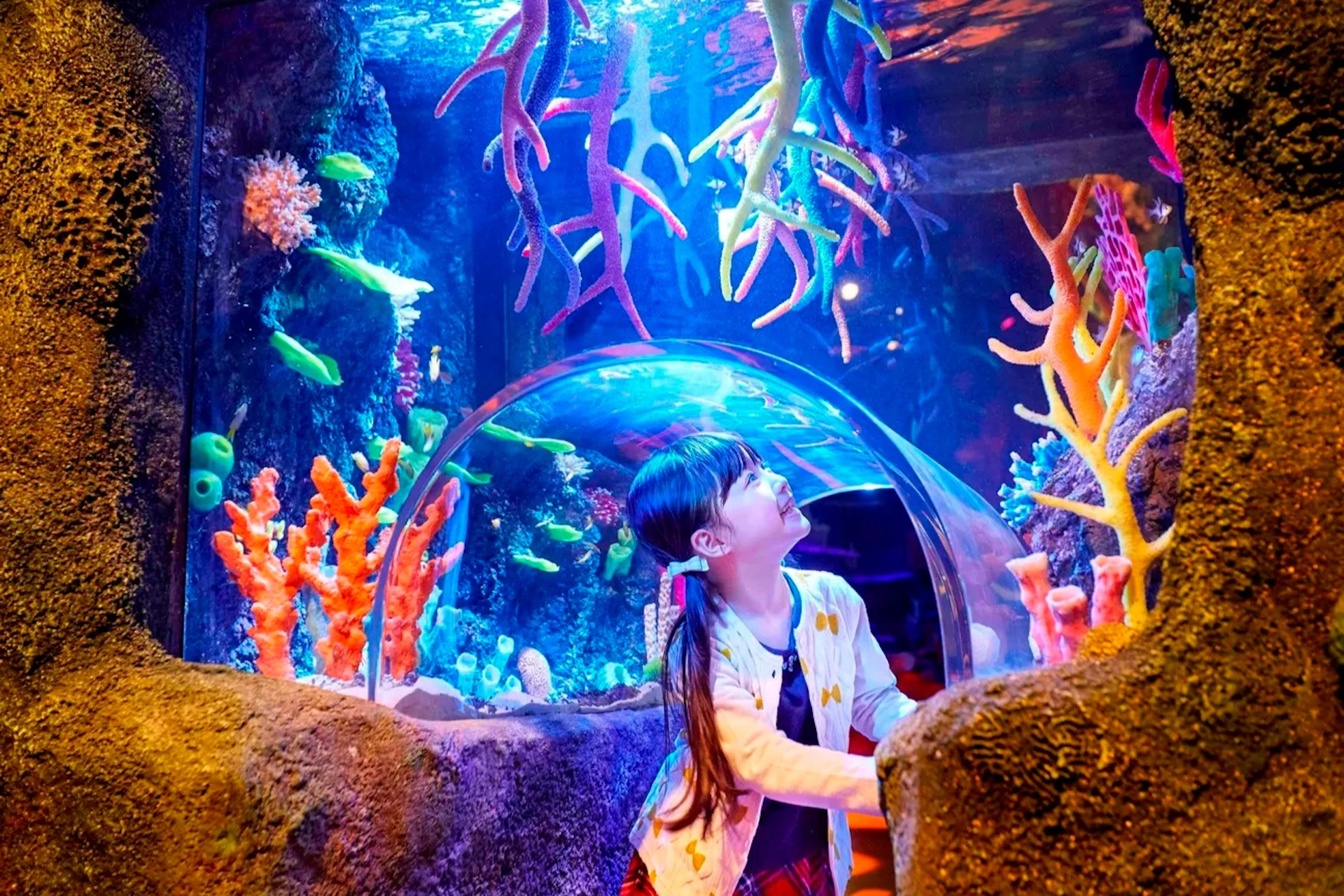 A child looking up while walking through a transparent tunnel in an aquarium surrounded by colorful marine life and coral.