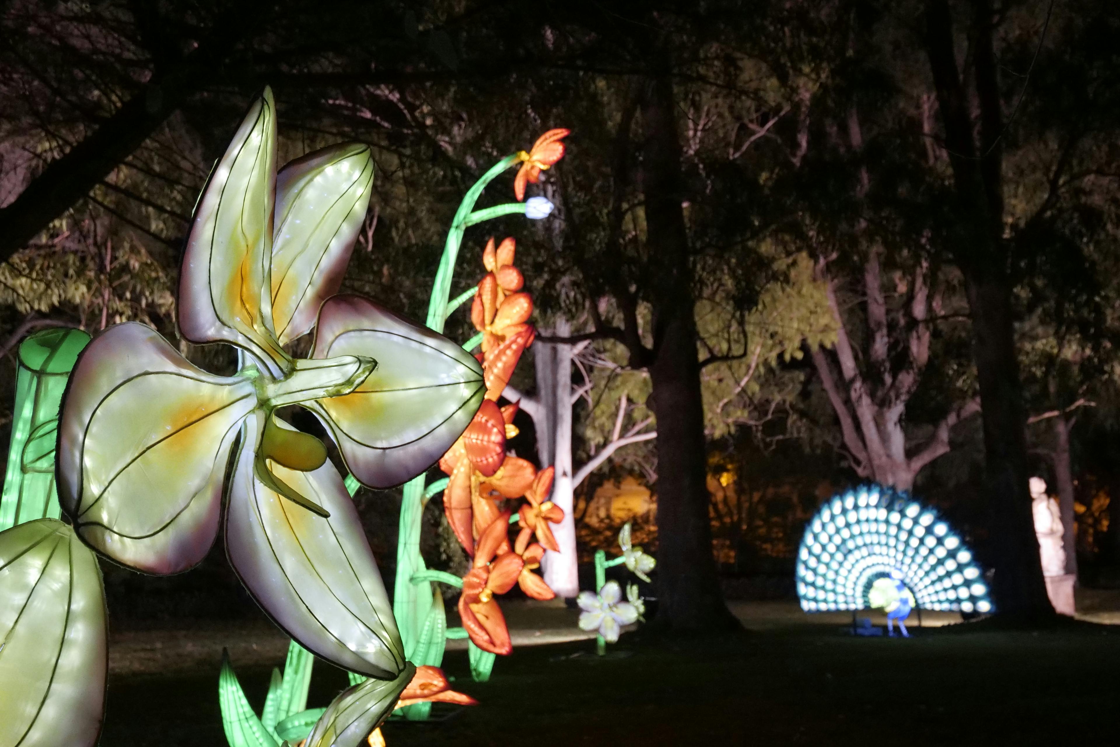 Magical Garden Belém