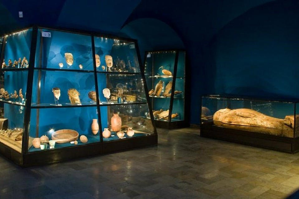 Arkeologiska museet - New Steelworks Branice