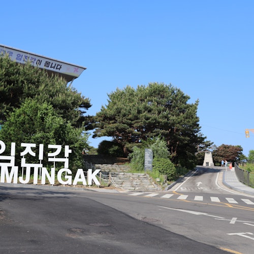 Tour de la zona desmilitarizada de Corea del Sur y Palacio Real