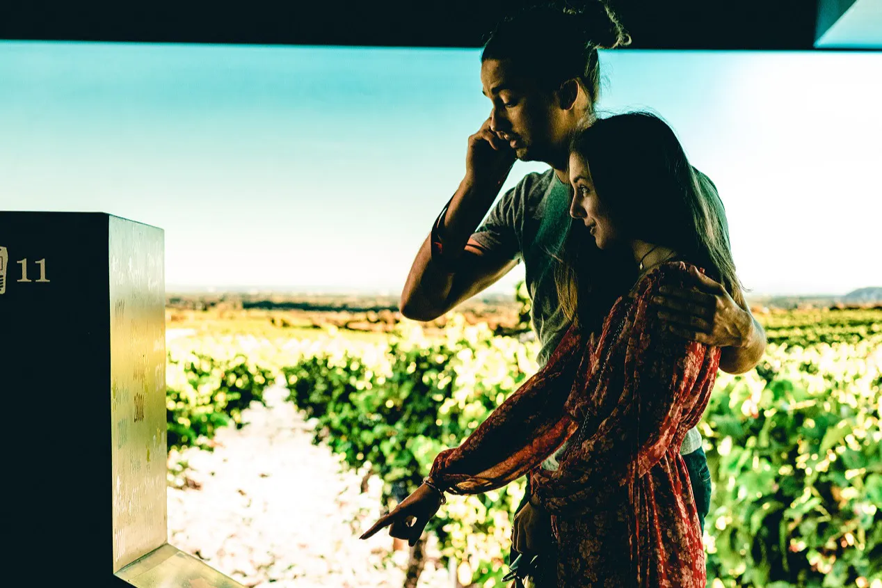 Châteauneuf-du-Pape: Brotte Wine Museum Audio Tour + Wine Tasting