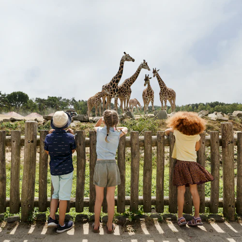 Speelland Beekse Bergen