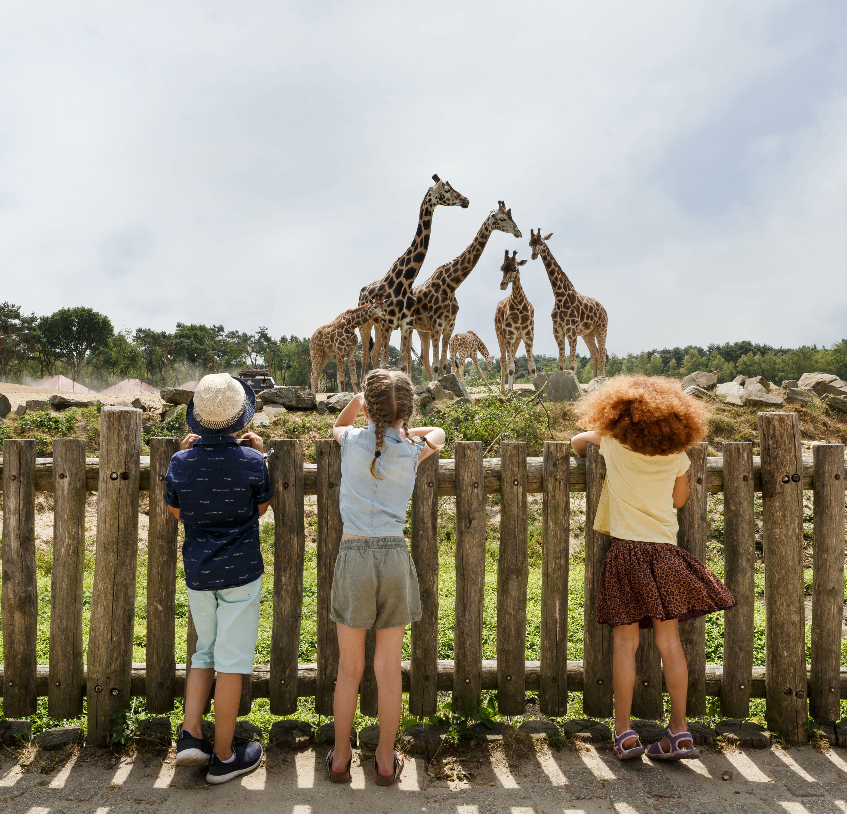 Miami Beekse Bergen Beekse Socio-Economic Ripples and the Tourism Engine