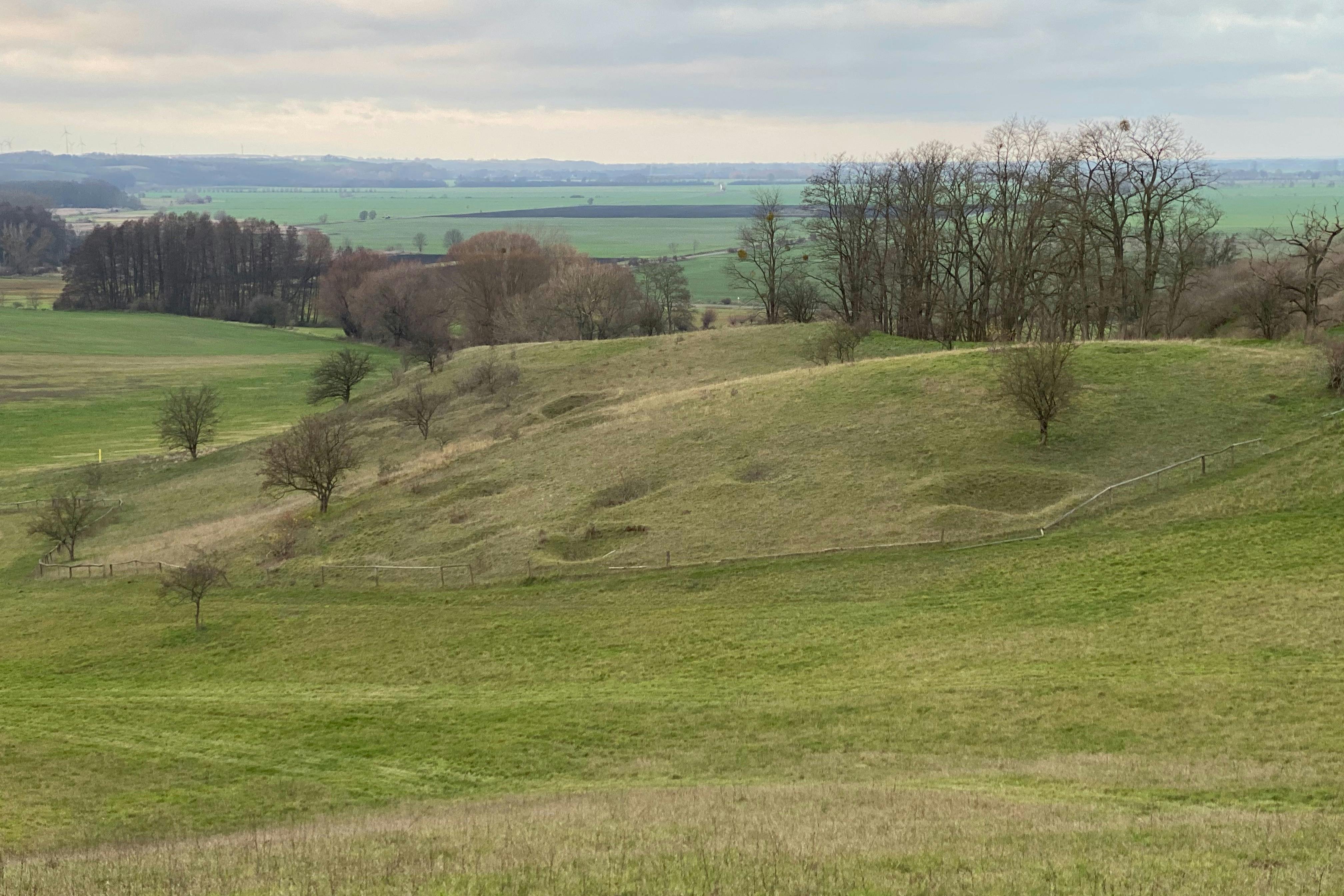 제169보병사단의 독일군 참호.