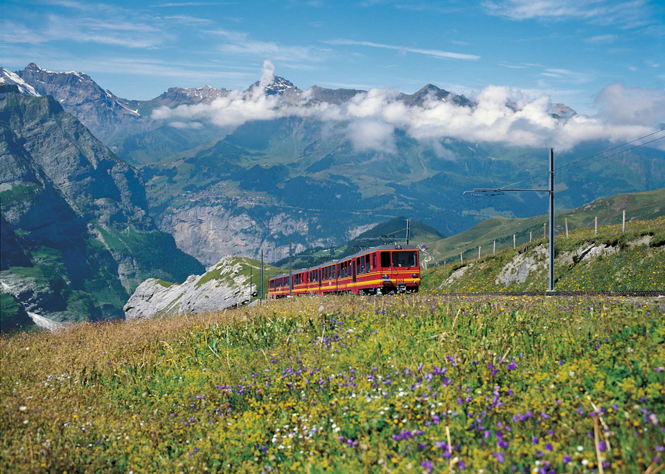 A red passenger train travels through a vibrant wildflower meadow with a backdrop of towering mountains under a blue sky.