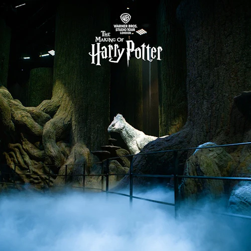 Harry Potter Warner Bros. Studio London: Entry + Train Transfer - Photo 17