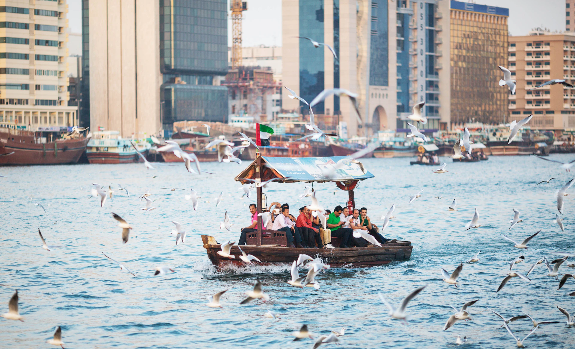 People riding a small wooden boat on a busy waterway surrounded by seagulls, with city buildings in the background.