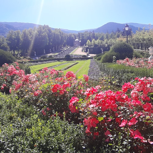 Palacio real y jardines de la Granja de San Ildefonso: Visita guiada