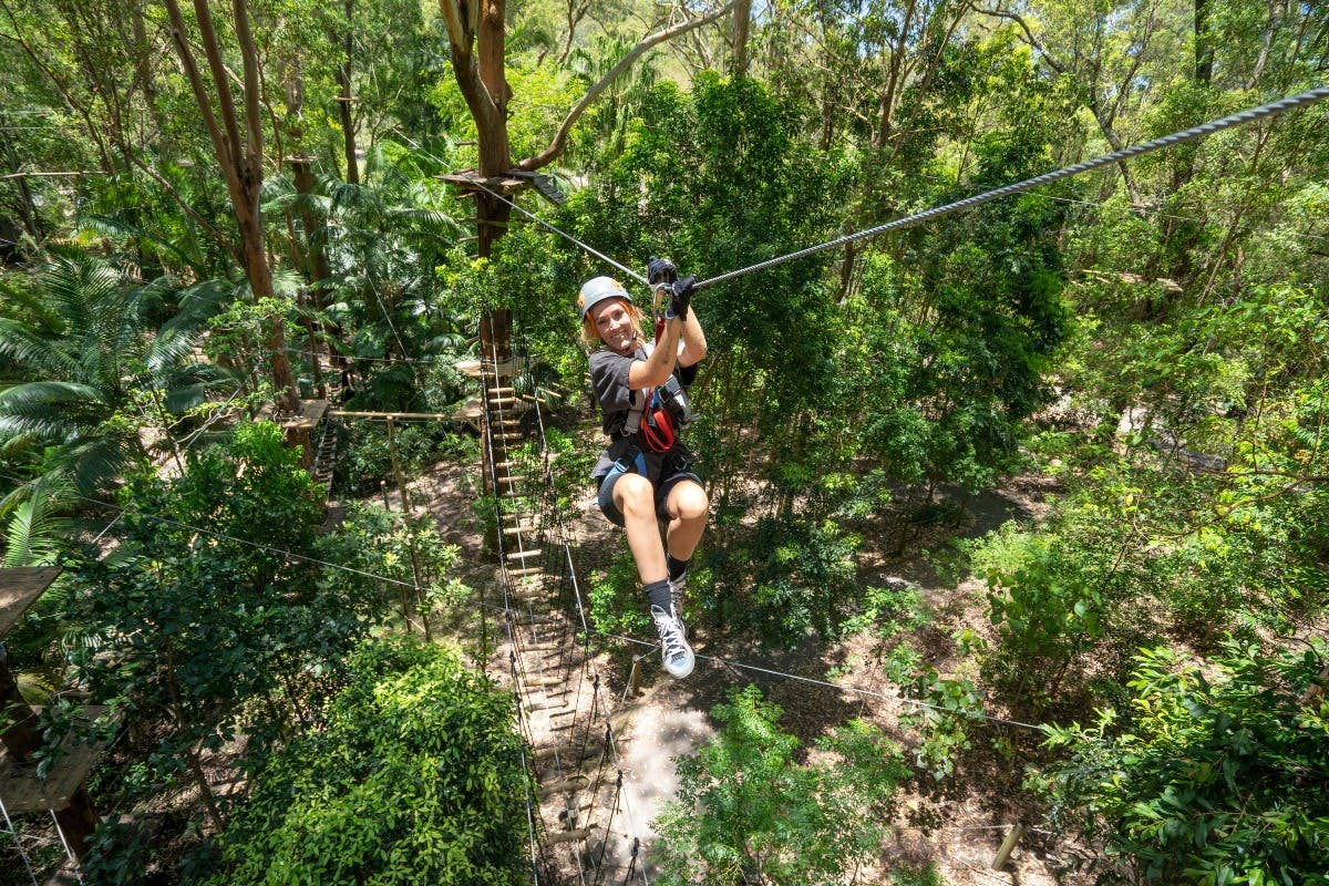 Person in helmet and harness zip-lining through a forest canopy, with trees and wooden platforms below.