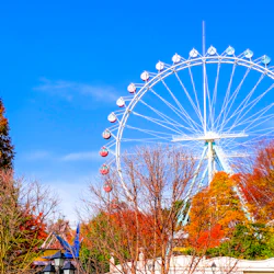 Everland
