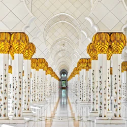 Half-Day Trip from Dubai: Sheikh Zayed Grand Mosque Express Entry 2