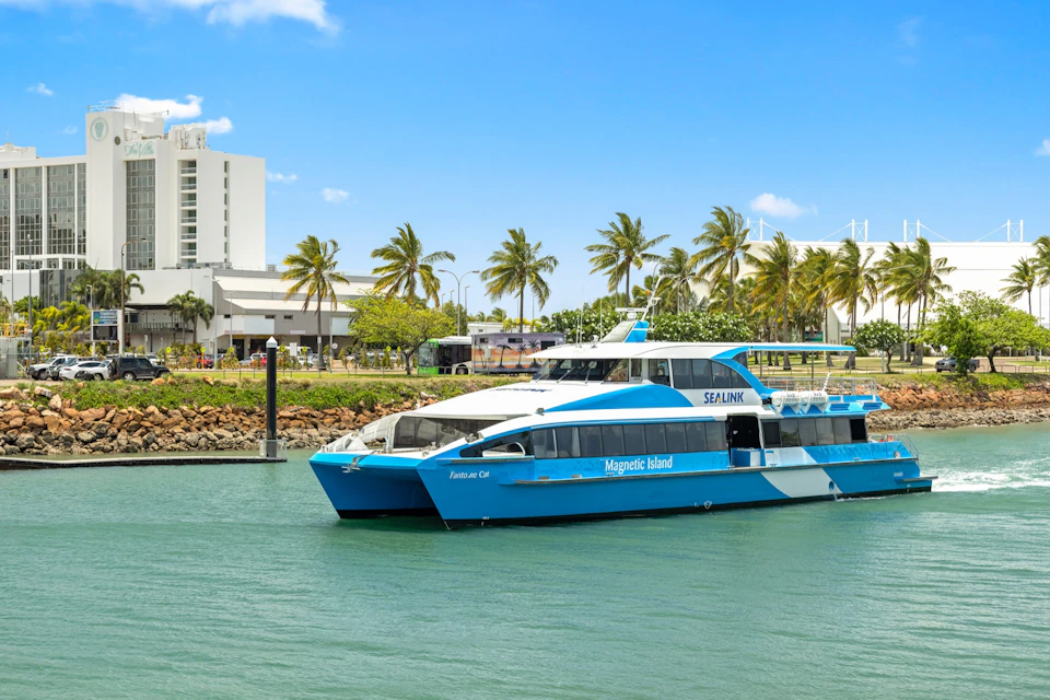 Two blue and white ferries docked near a shoreline with palm trees, a building, and a clear blue sky in the background.