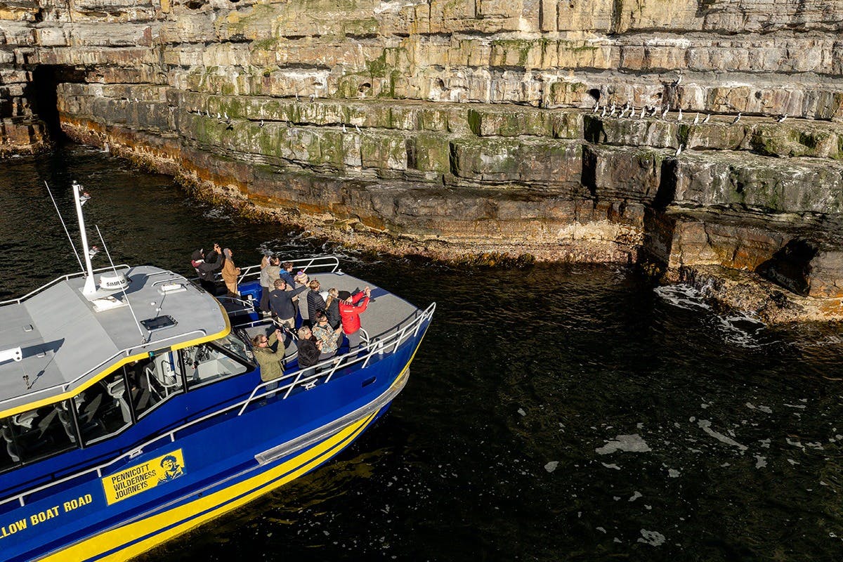 Cabo Raoul: Visita guiada a partir de Hobart + entrada no sítio histórico de Port Arthur + passeio de barco - Photo 7