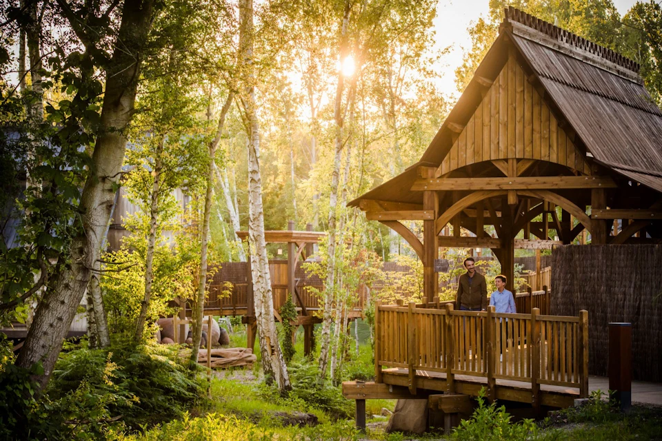 Two people standing on a wooden deck surrounded by trees and greenery in a serene forest setting at sunset.
