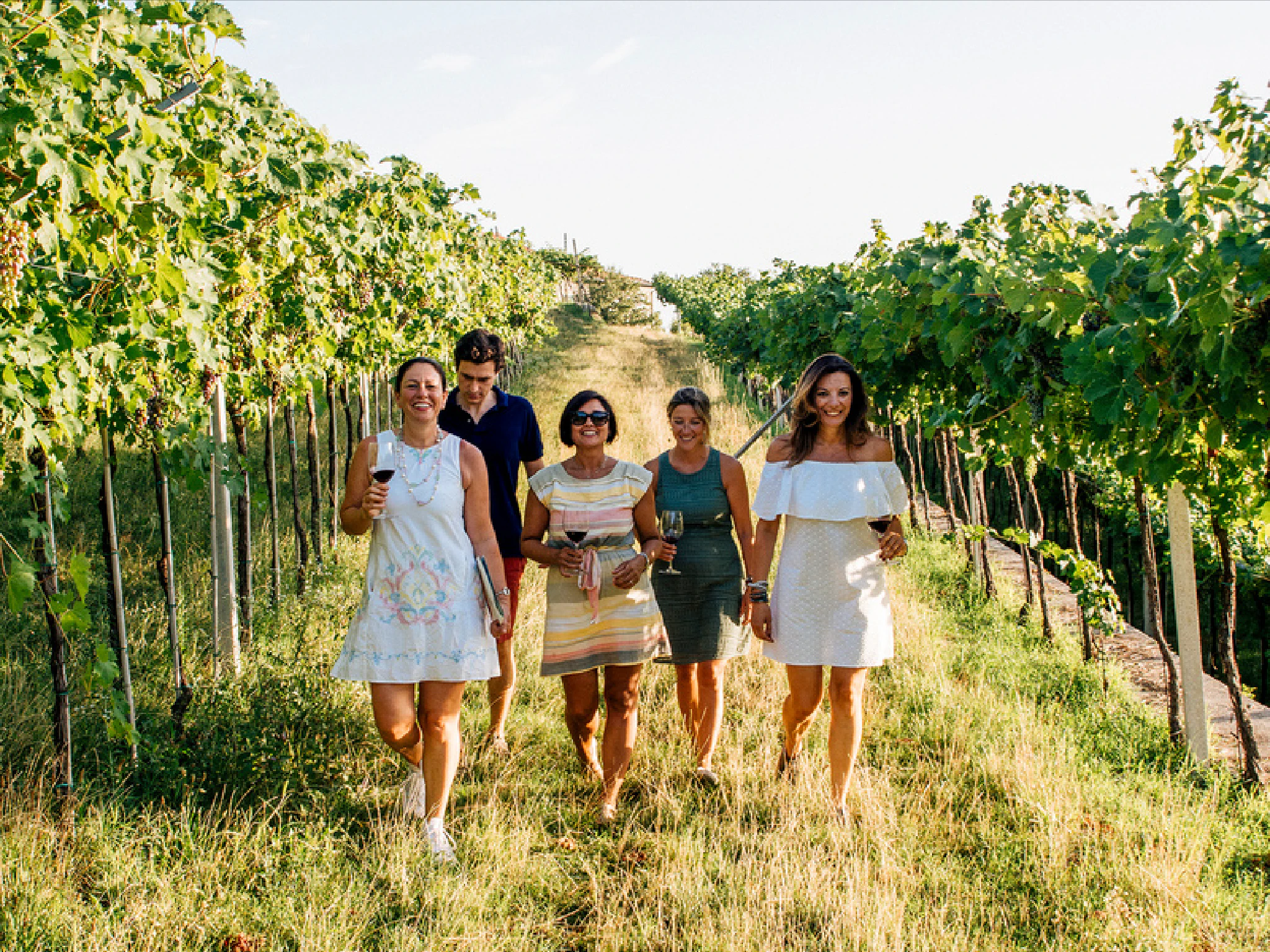 Verona: Valpolicella Winery Tour with a Winemaker