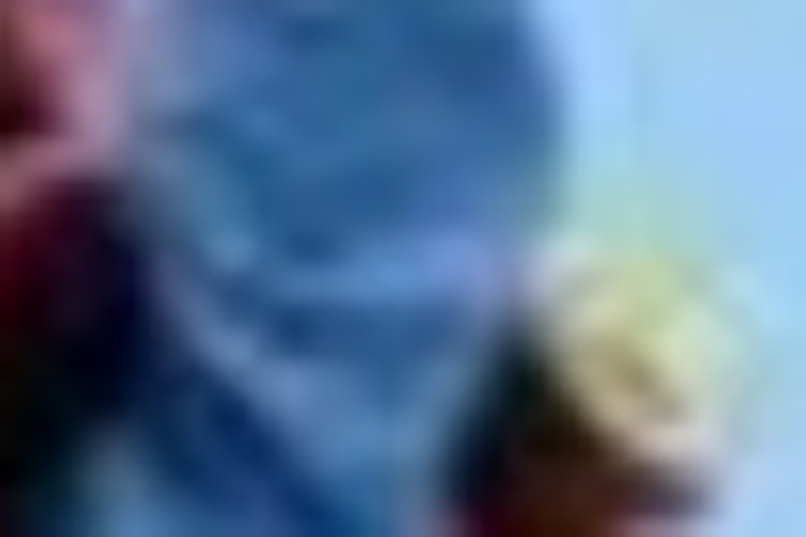 Gold Coast Movie World, Sea World, Paradise Country and Wet'n'Wild 1-Day Pass