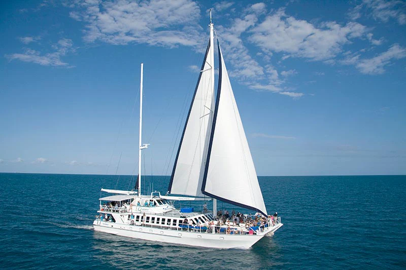 Low Isles: Guided Boat Tour from Port Douglas + Lunch + Snorkelling