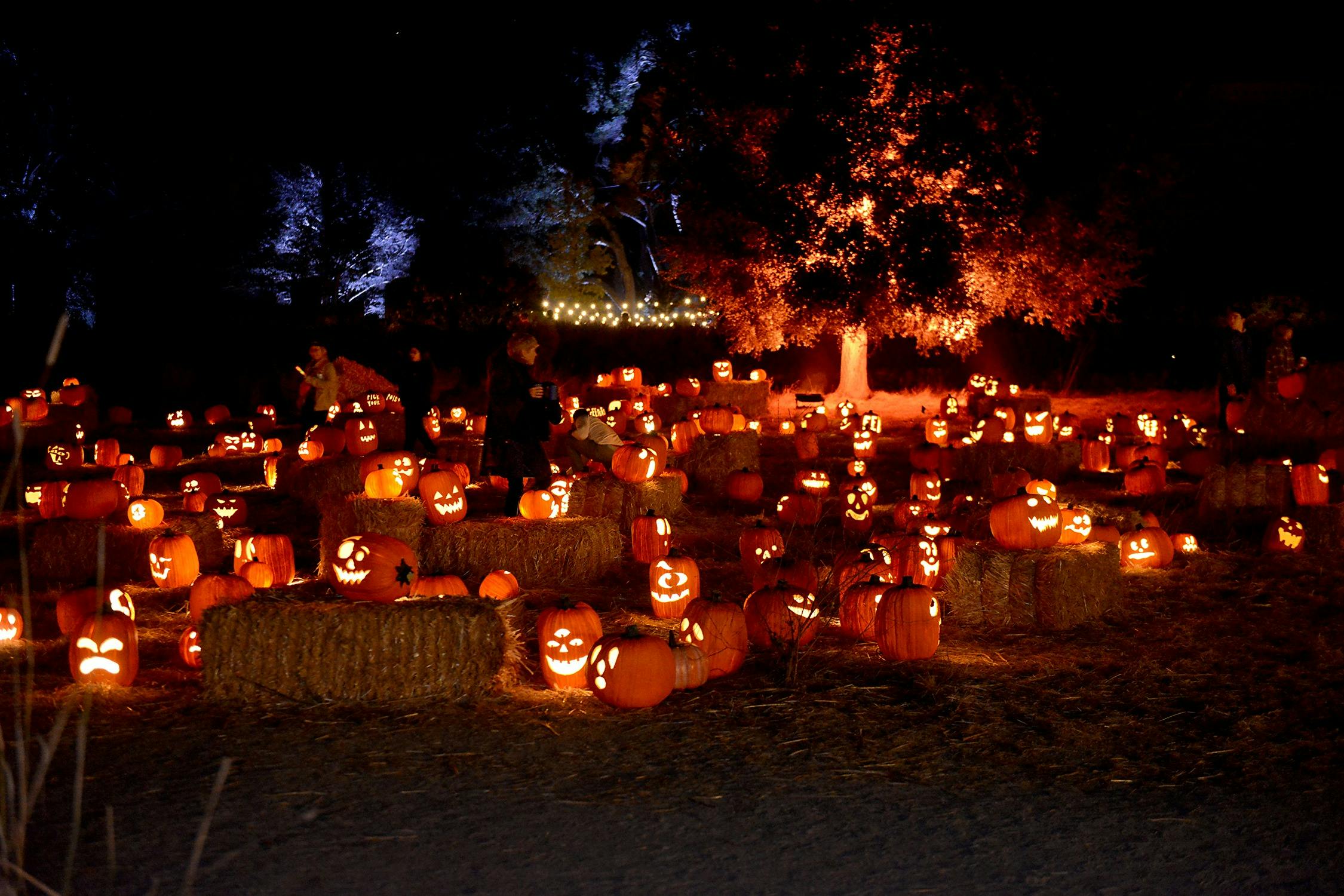 Μια νυχτερινή σκηνή Halloween με πολλές σκαλιστές, φωτισμένες κολοκύθες σε μπάλες σανό και αμυδρά ορατούς ανθρώπους μεταξύ τους.