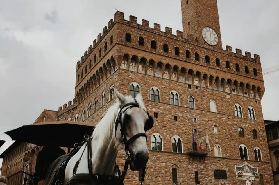 A white horse harnessed to a carriage in front of a historic stone building with arched windows and a large clock tower.