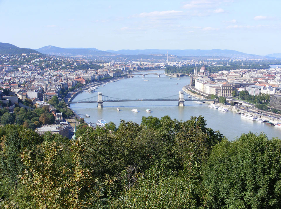 View of a river with three bridges, numerous boats, and cityscape on both sides, seen from a hill with trees in the foreground.