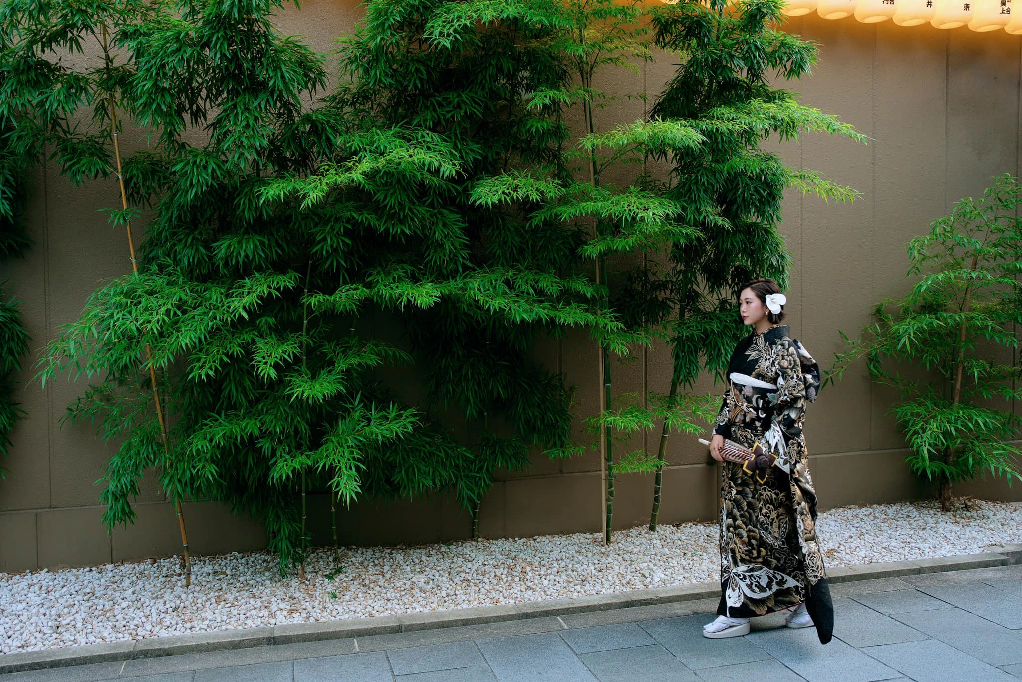 Kimono & Yukata Rental and Photo Shoot Kyoto: Kimono Rental Misaki Women's Kimono