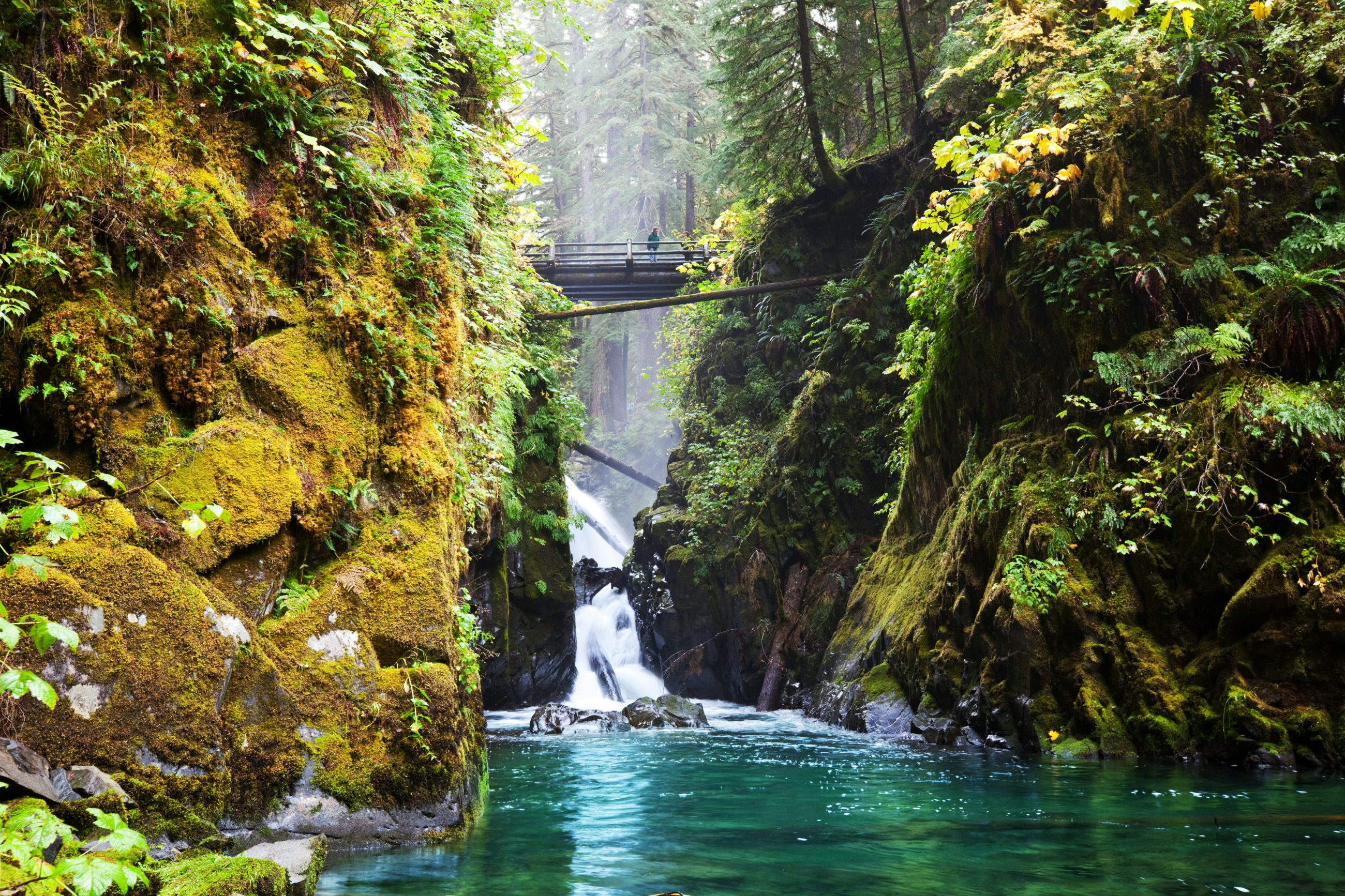 Entradas para Parque nacional Olympic - Seattle | Tiqets.com