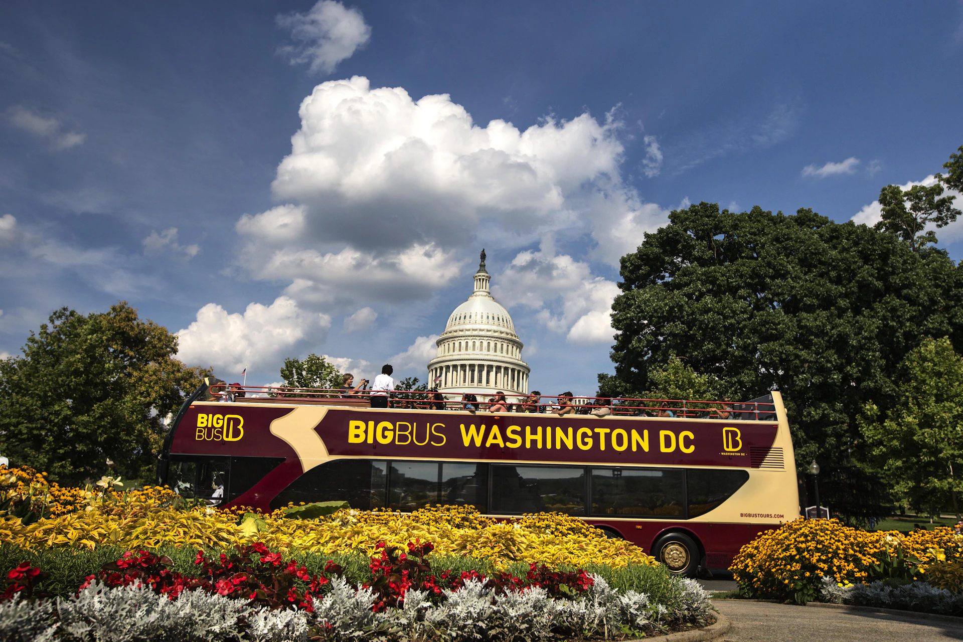 A double-decker tour bus labeled "Big Bus Washington DC" with the U.S. Capitol in the background, surrounded by colorful flower beds.