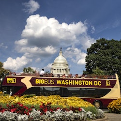 Tours & Sightseeing | Washington D.C. City Tours things to do in Friendship Heights