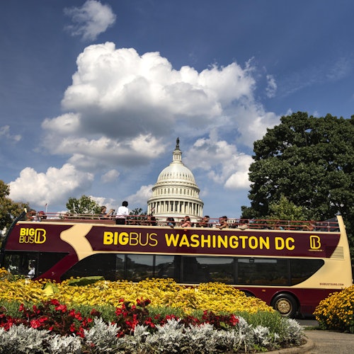 Big Bus Washington D.C.: Visita nocturna en autobús, Visita guiada a pie + Audioguía