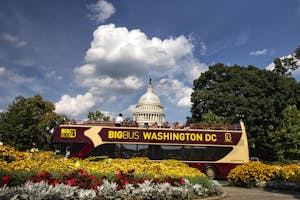 Stadtrundgänge in Washington, D.C.