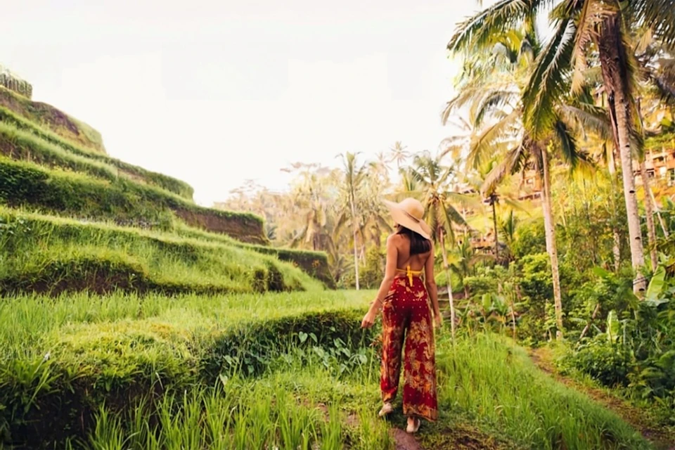 Rice Terrace