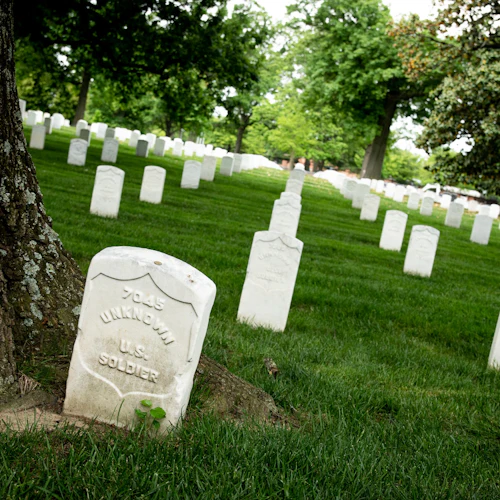 Arlington National Cemetery: Guided Walking Tour + Changing of the Guard - Photo 7