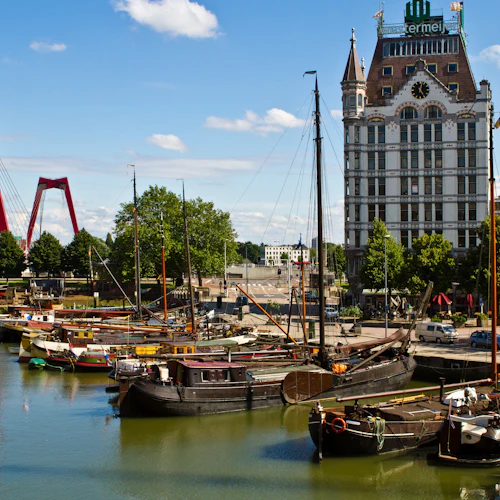 Rotterdam & The Hague: Guided Tour from Amsterdam - Photo 3