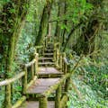 Ścieżka przyrodnicza Angka