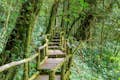 Angka Nature Trail