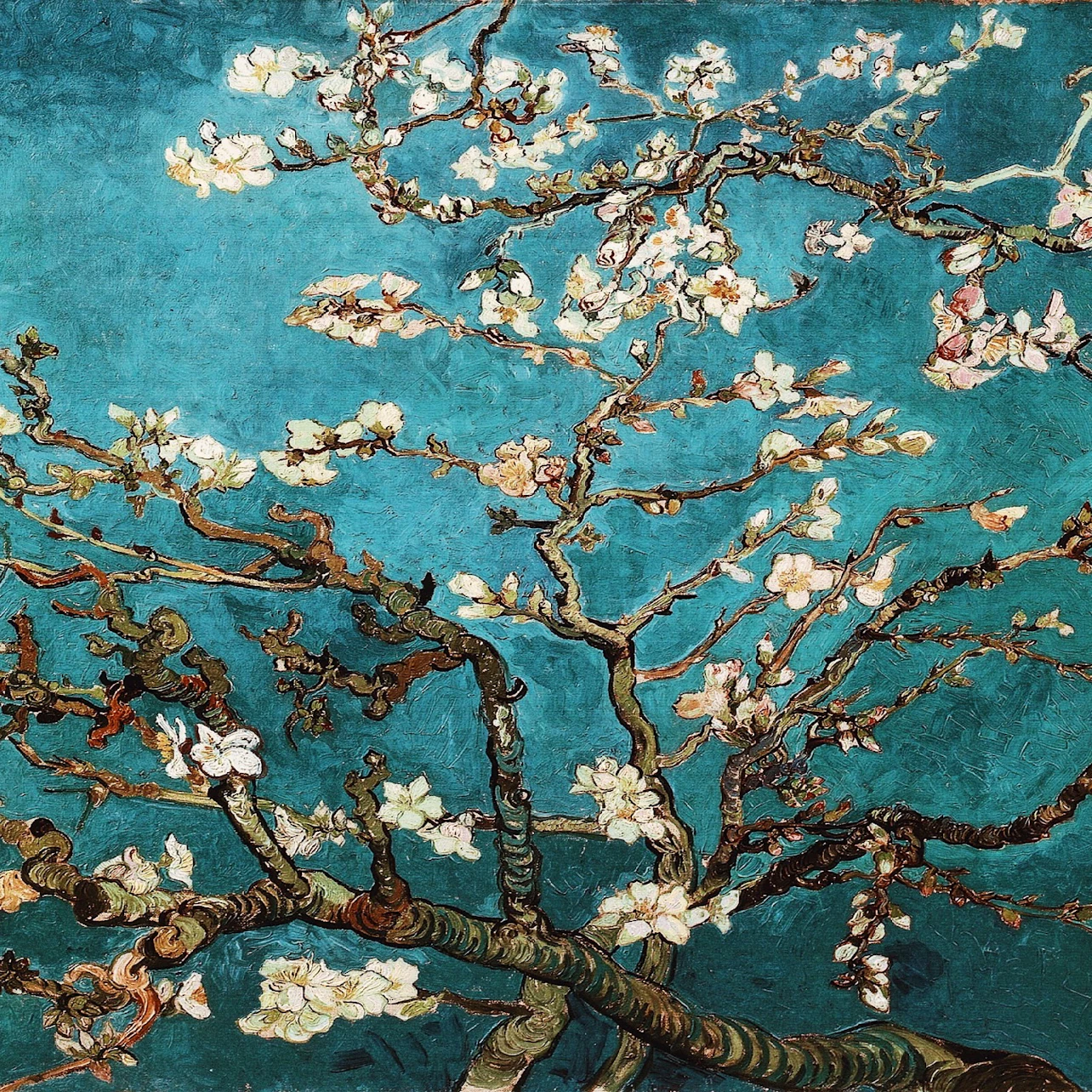 Van Gogh Museum with Babylon Tours