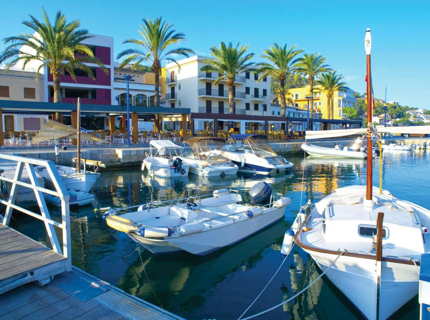 Μια μαρίνα με πολλά μικρά σκάφη αγκυροβολημένα, φοίνικες και σύγχρονα κτίρια στο παρασκήνιο κάτω από έναν καταγάλανο ουρανό.