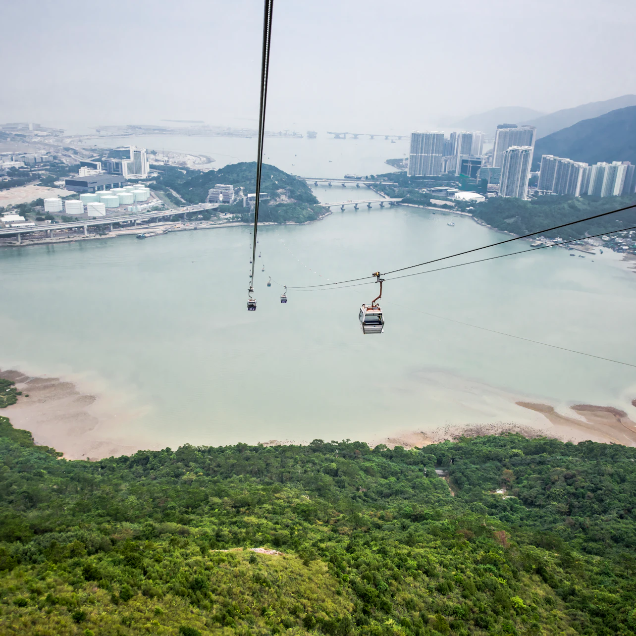 Ngong Ping Cable Car Roundtrip: One-way Standard + One-way Crystal Plus Cabin in Lantau Island β Tiqets