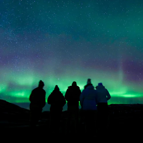 Reykjavík: Excursão da aurora boreal em grupo pequeno - Photo 4