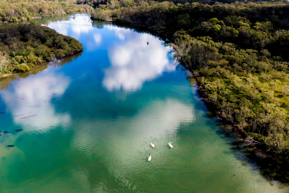 Aerial view of paddleboarders going down the river