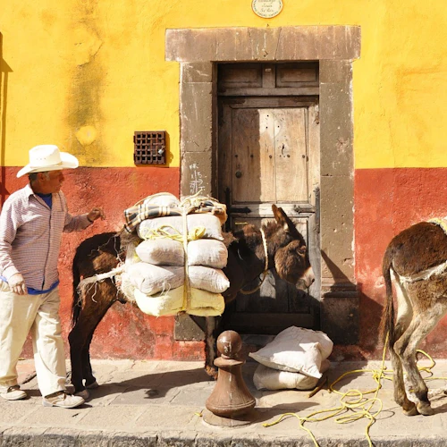 San Miguel de Allende: Day Trip from Mexico City - Photo 10