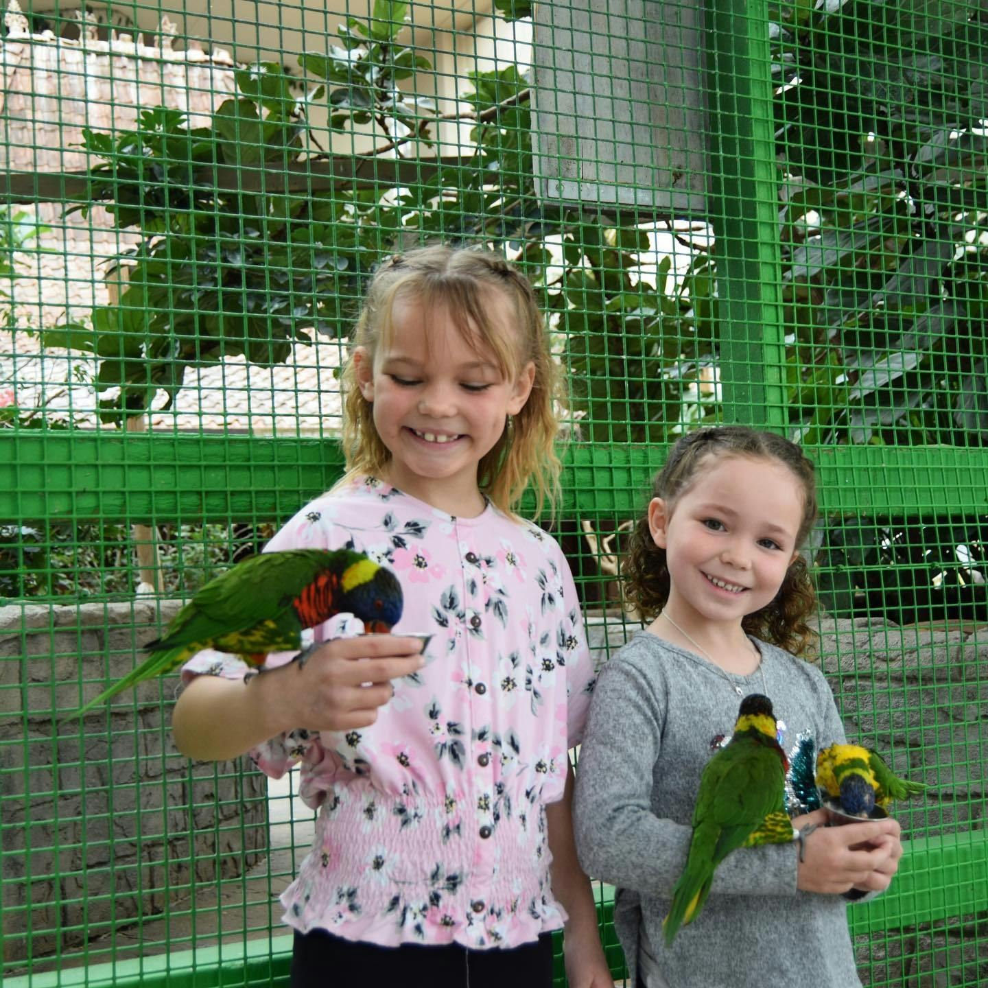 단풍을 배경으로 초록색 메쉬 인클로저 안에 알록달록한 앵무새를 들고 미소 짓는 두 소녀.