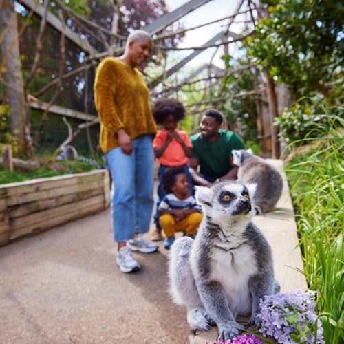 Tour Image 1