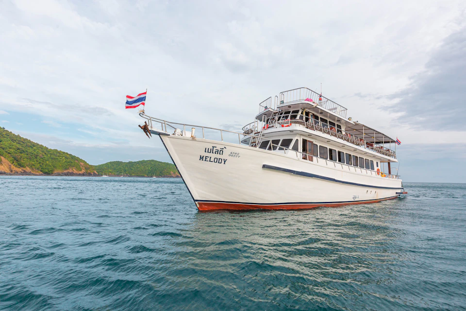 The Cruise