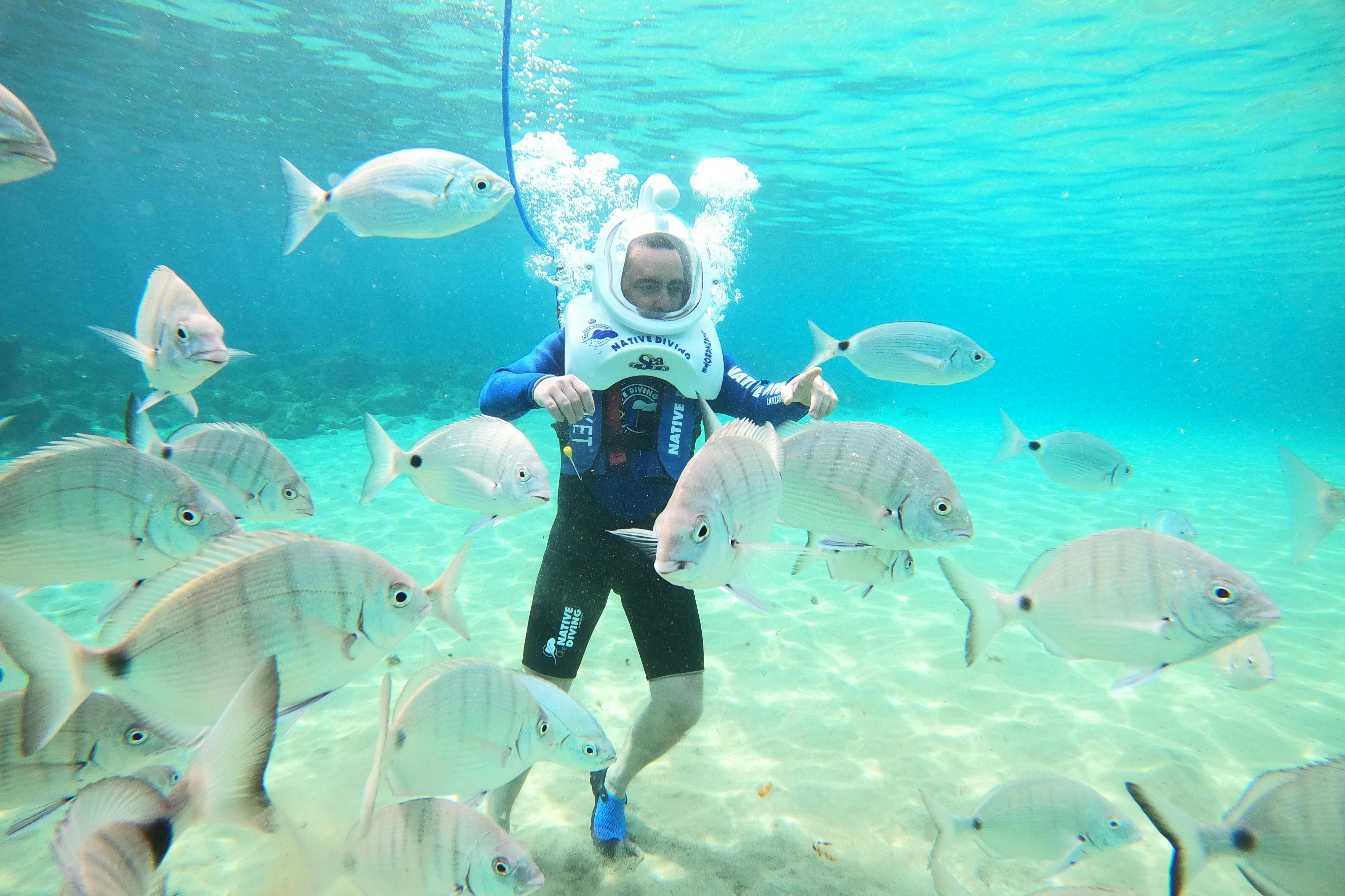 A person underwater wearing a helmet and surrounded by various fish. Bubbles rise from the helmet as they walk on the sandy seabed.