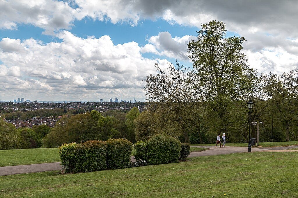 2人の人が緑の芝生と木々のある公園の小道を歩いています。曇り空の下、遠くに街のスカイラインが見えます。